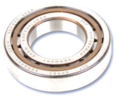 OEM Replacement Pump Bearings