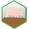Pig Farming Applications